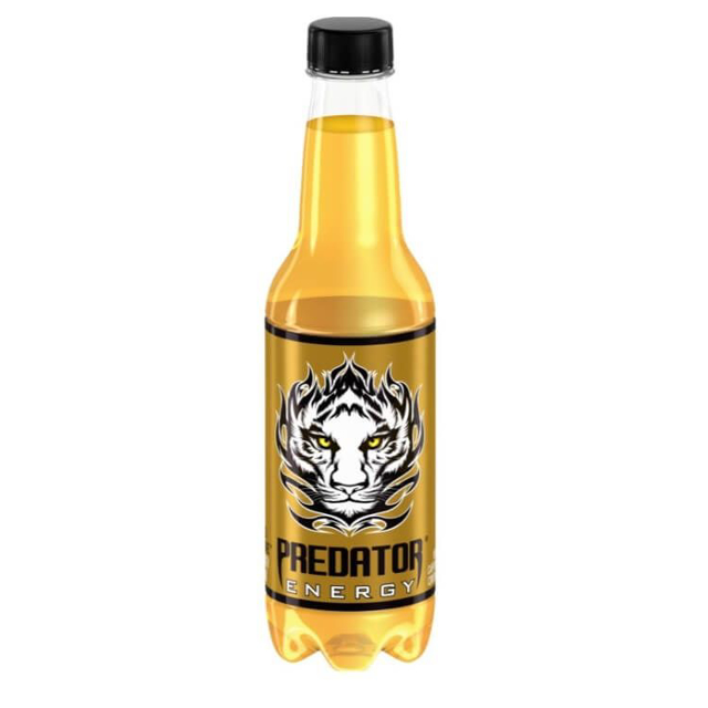 PREDATOR ENERJI ICECEGI 1 LT PET